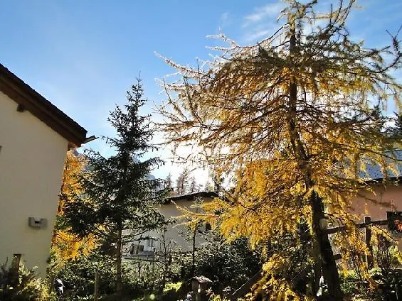 Sur Staziun 10 Pontresina